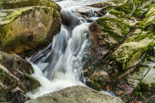 Nationalpark Harz. Eine Kaskade