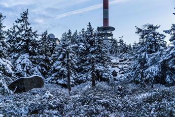 Nationalpark Harz. Zum Brocken
