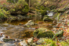 Nationalpark Harz. Ilse