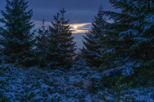 Nationalpark Harz. Abstieg vom Brocken