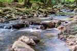 Nationalpark Harz. Ilse