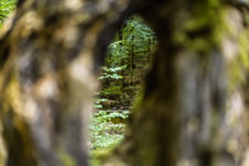 Nationalpark Harz. Ilse