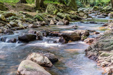 Nationalpark Harz. Ilse