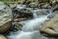Nationalpark Harz. Ilse
