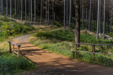 Nationalpark Harz. Ein Weg