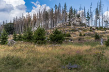 Nationalpark Harz