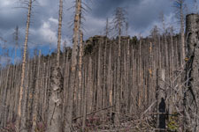 Nationalpark Harz. Untere Zeterklippen