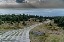 Nationalpark Harz. Abstieg vom Brocken