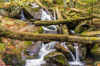 Nationalpark Harz. Ilsenburg-Brocken. Ilse