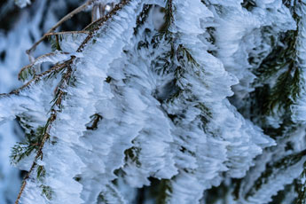 Nationalpark Harz. Zum Brocken. Schneekruste