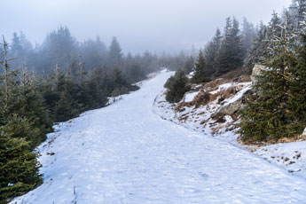 Nationalpark Harz. Heinrich-Heine-Weg