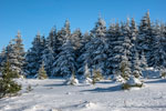 Nationalpark Harz. Zum Brocken