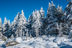 Nationalpark Harz. Zum Brocken