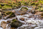 Nationalpark Harz. Ilsenburg-Brocken. Ilse