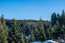 Nationalpark Harz. Zum Brocken