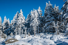 Nationalpark Harz. Zum Brocken