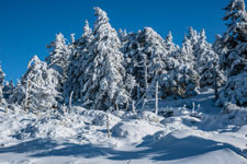 Nationalpark Harz. Zum Brocken