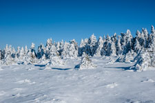 Nationalpark Harz. Zum Brocken