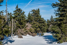 Nationalpark Harz. Zum Brocken