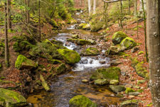 Nationalpark Harz. Zum Brocken