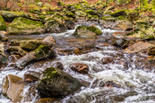 Nationalpark Harz. Ilsenburg-Brocken. Ilse