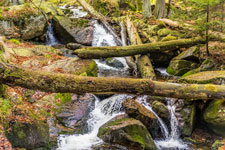Nationalpark Harz. Ilsenburg-Brocken. Ilse