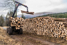 Nationalpark Harz. Ilsenburg-Brocken. Holztransporter