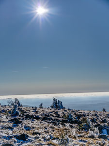 Nationalpark Harz. Am Brocken
