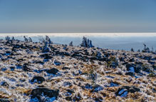 Nationalpark Harz. Am Brocken