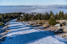 Nationalpark Harz. Heinrich-Heine-Weg