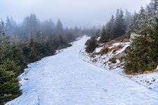 Nationalpark Harz. Heinrich-Heine-Weg