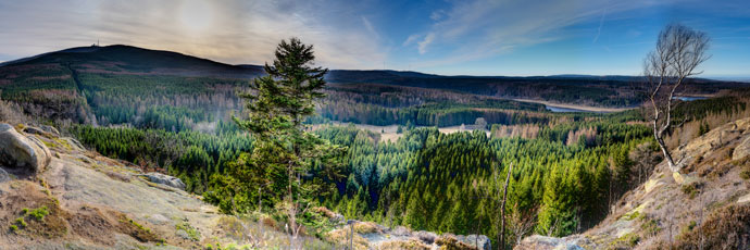 Nationalpark Harz. Am Scharfenstein