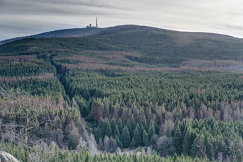 Nationalpark Harz. Ausblick vom Scharfenstein