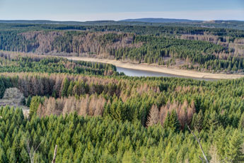 Nationalpark Harz. Ausblick vom Scharfenstein