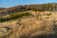 Nationalpark Harz. Zum Scharfstein