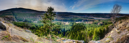 Nationalpark Harz. Am Scharfenstein