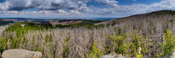 Nationalpark Harz. Mittlere Zeterklippe