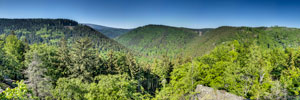 Nationalpark Harz. Ausblick vom Ilsestein