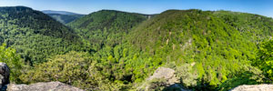 Nationalpark Harz. Ausblick vom Ilsestein
