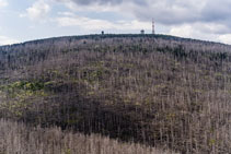 Nationalpark Harz. Mittlere Zeterklippe