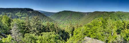 Nationalpark Harz. Ausblick vom Ilsestein
