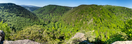 Nationalpark Harz. Ausblick vom Ilsestein