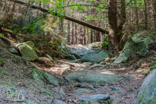 Nationalpark Harz. Steiniger Weg