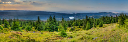 Nationalpark Harz. Ecker Stausee