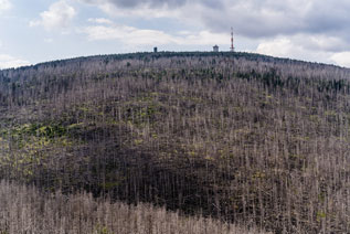 Nationalpark Harz. Mittlere Zeterklippe