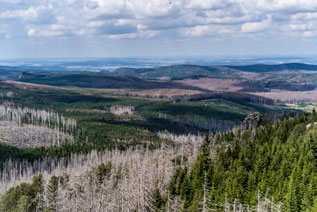 Nationalpark Harz. Mittlere Zeterklippe