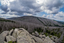 Nationalpark Harz. Mittlere Zeterklippe