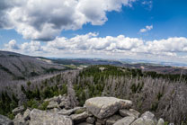 Nationalpark Harz. Mittlere Zeterklippe