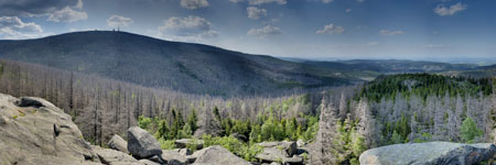 Nationalpark Harz. Mittlere Zeterklippe