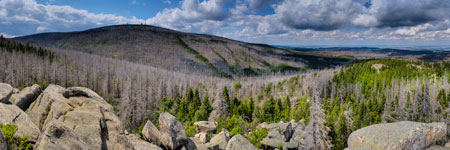 Nationalpark Harz. Mittlere Zeterklippe